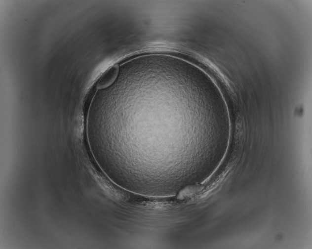 X0000100841461200806271101