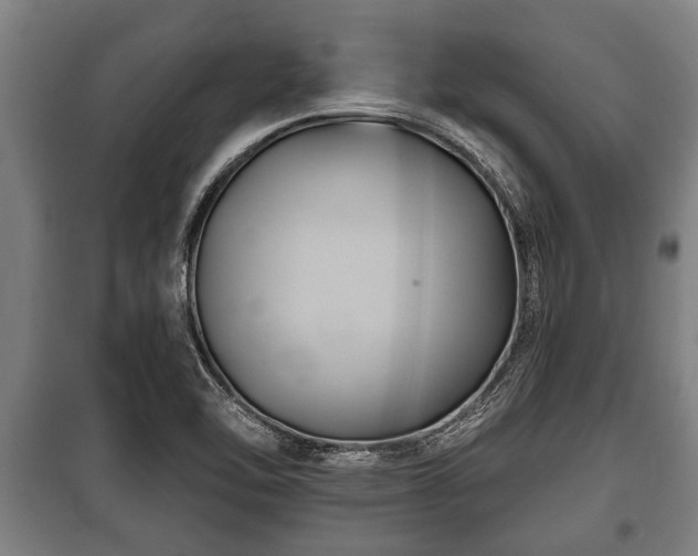 X0000100841462200806271101