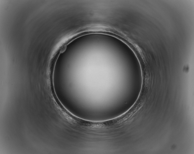 X0000100841464200806271101