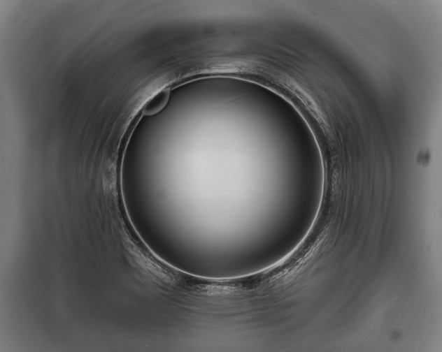 X0000100841465200806271101