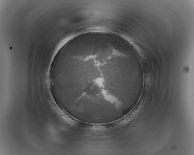 X0000100841466200806271101