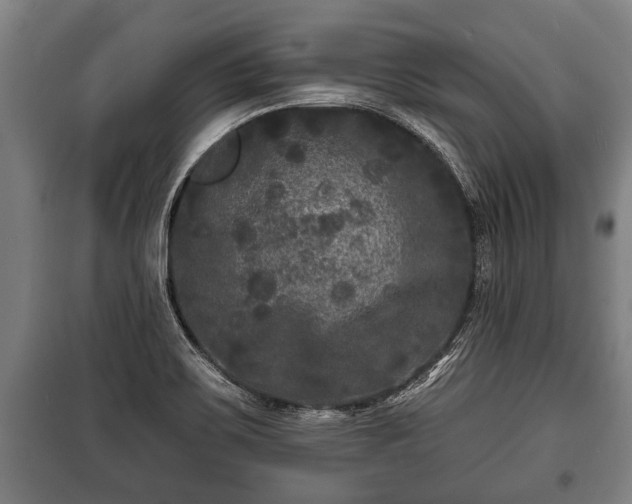 X0000100841467200806271101