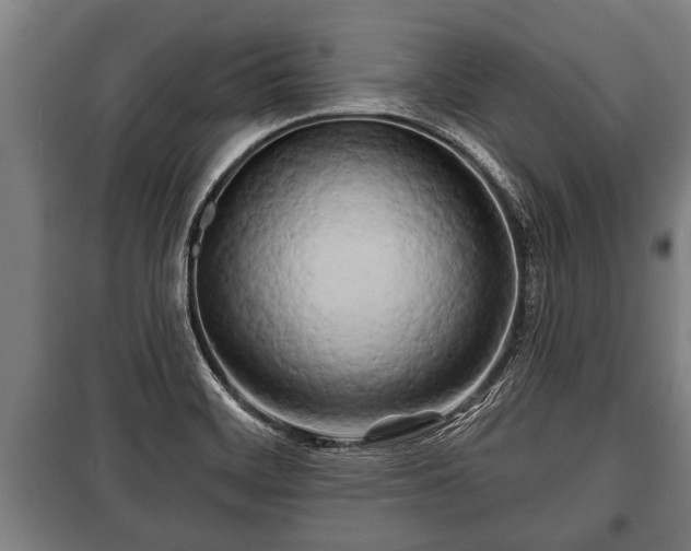 X0000100841468200806271101