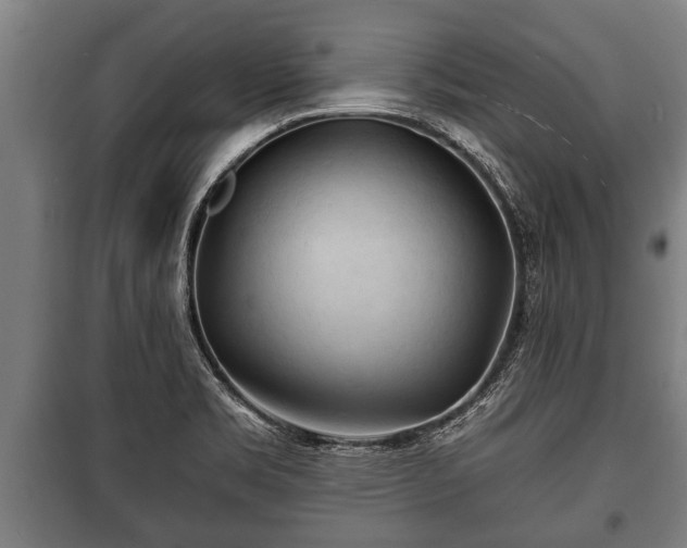 X0000100841469200806271101