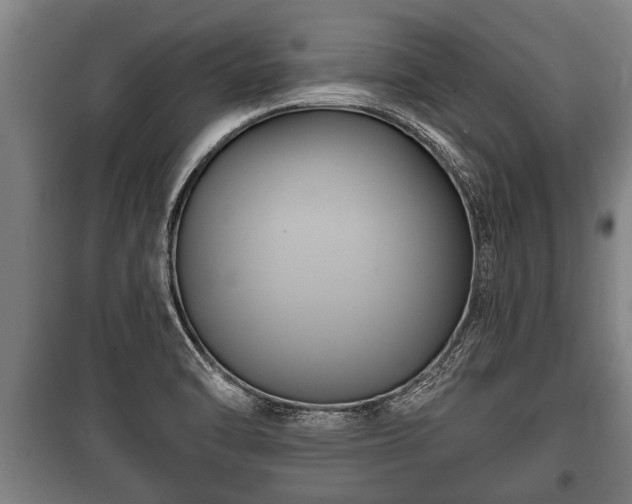 X0000100841470200806271101