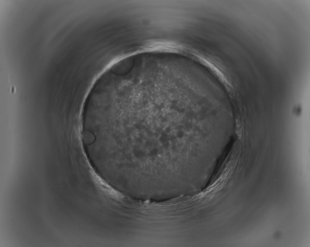 X0000100841471200806271101