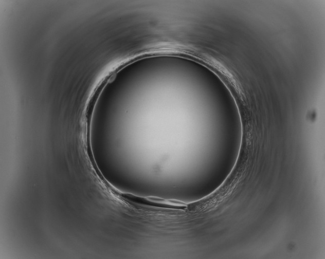 X0000100841472200806271101