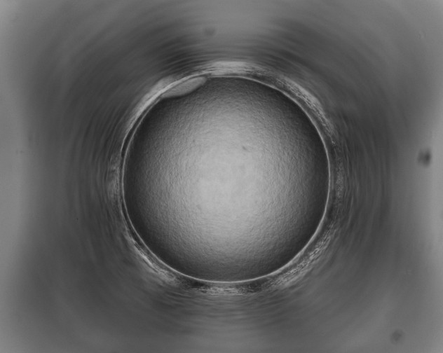 X0000100841473200806271101