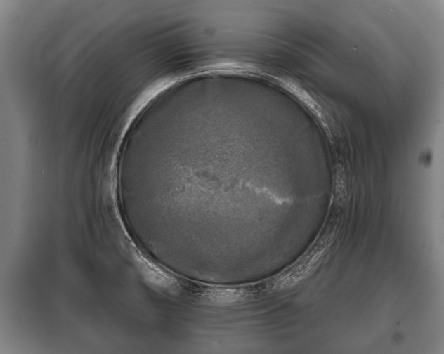 X0000100841474200806271100