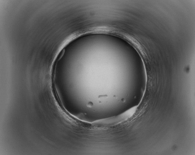 X0000100841475200806271100