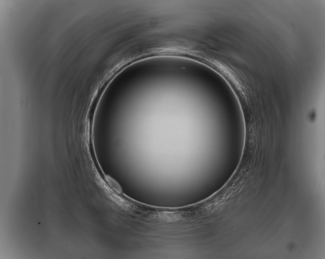 X0000100841476200806271100