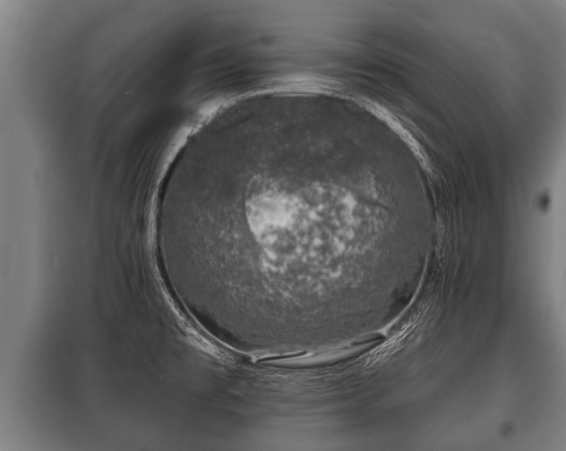 X0000100841477200806271100