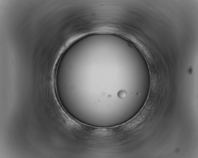 X0000100841478200806271100