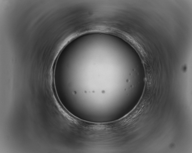 X0000100841479200806271100