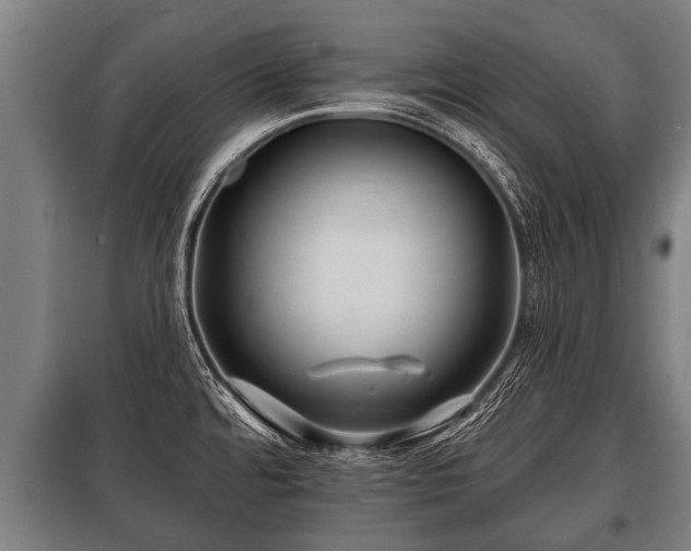 X0000100841480200806271100