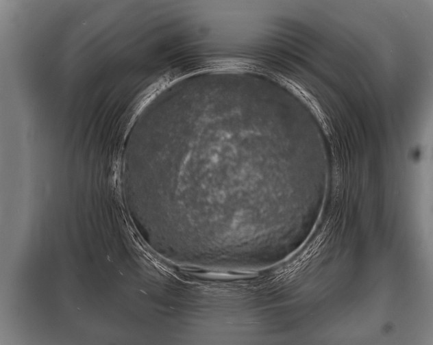 X0000100841481200806271100