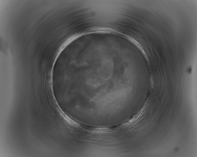 X0000100841482200806271100