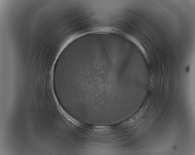 X0000100841483200806271100