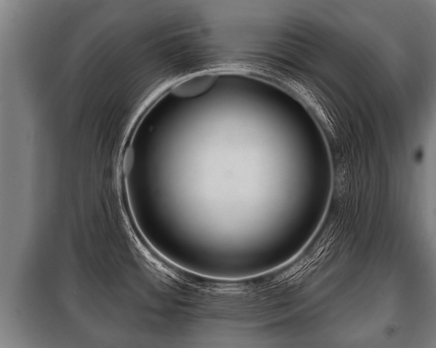 X0000100841484200806271100