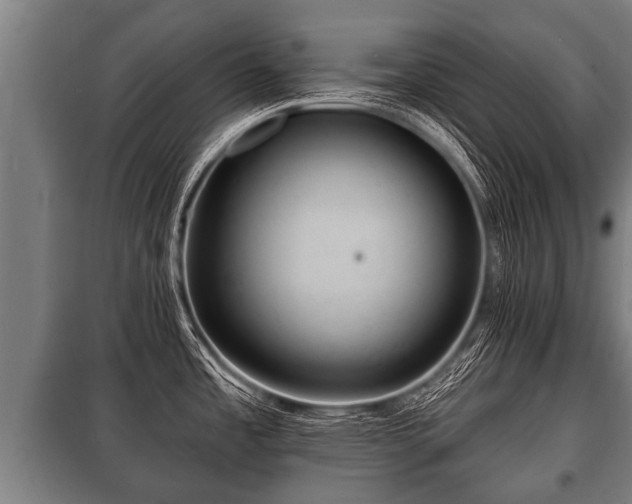 X0000100841485200806271100