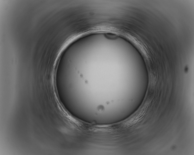 X0000100841486200806271100