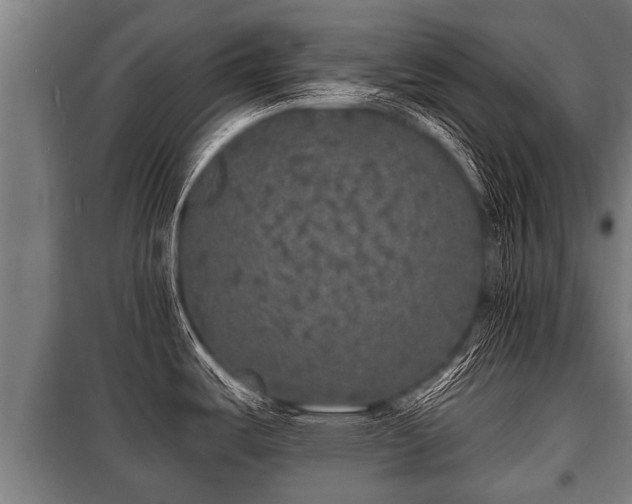 X0000100841487200806271100