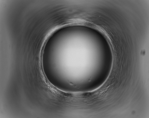 X0000100841488200806271100