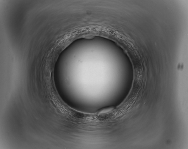 X0000100841489200806271059