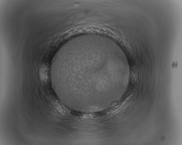 X0000100841490200806271059