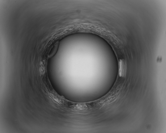 X0000100841491200806271059