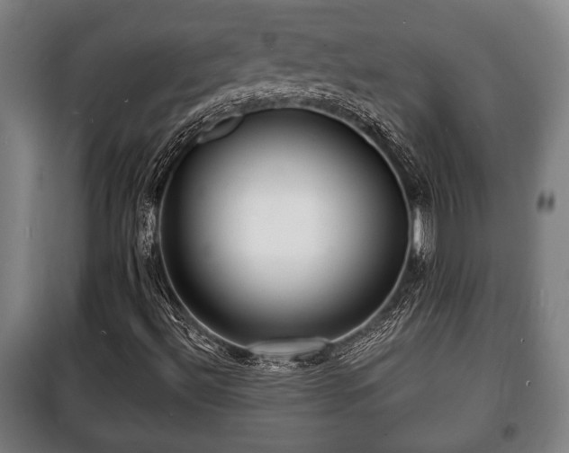 X0000100841492200806271059