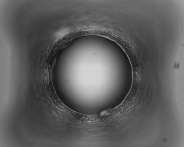 X0000100841493200806271059