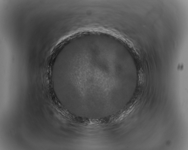 X0000100841494200806271100