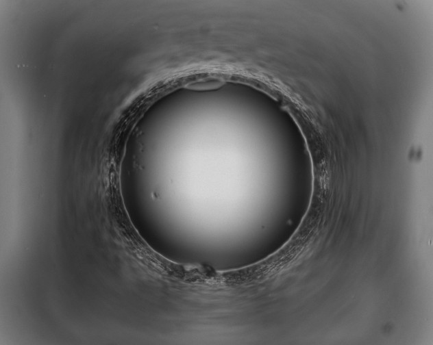 X0000100841495200806271100