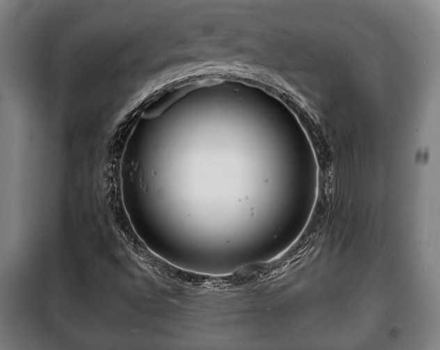 X0000100841496200806271100