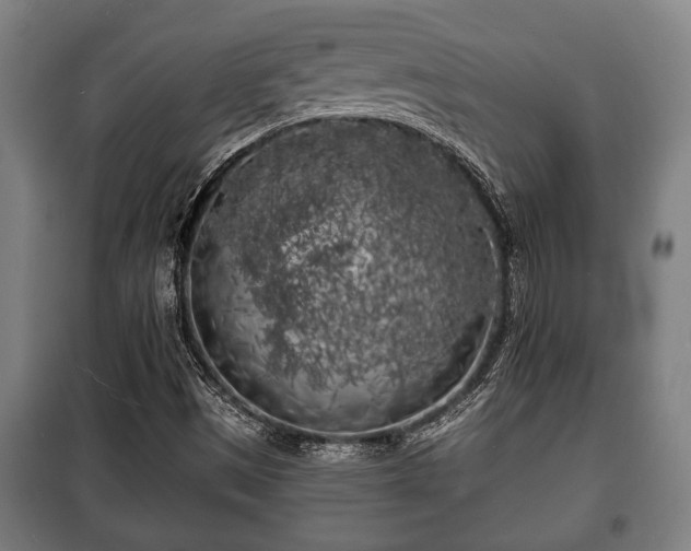 X0000100841497200806271100