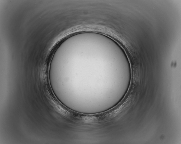 X0000100841498200806271100