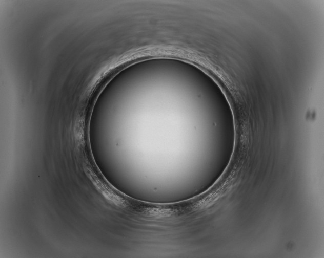 X0000100841499200806271100