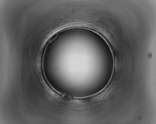 X0000100841500200806271100