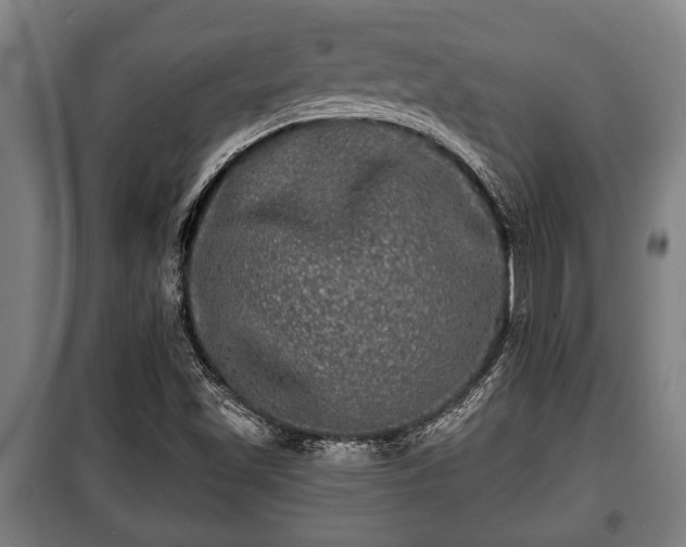 X0000100841501200806271100