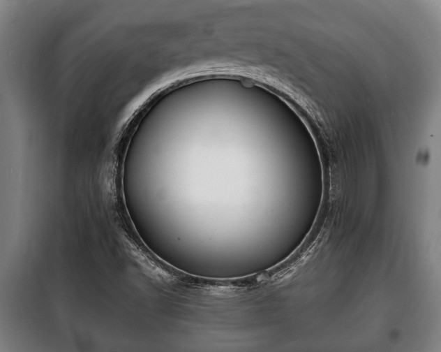 X0000100841502200806271100