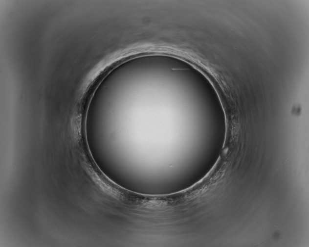 X0000100841503200806271100