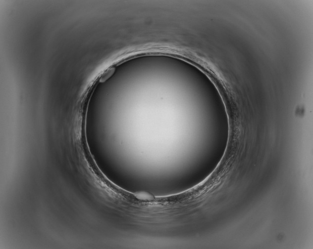 X0000100841504200806271100