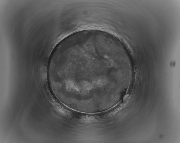 X0000100841505200806271100