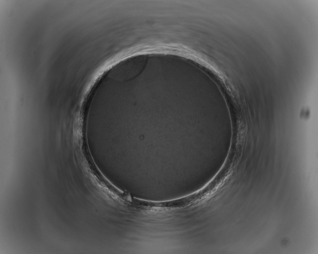 X0000100841506200806271100