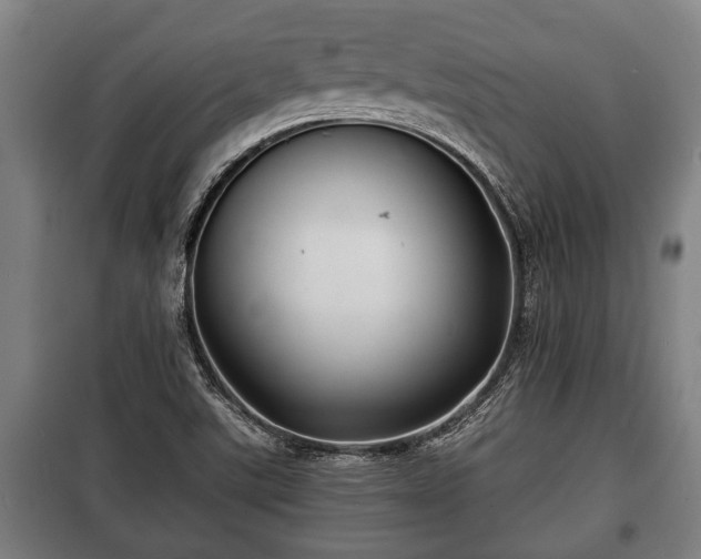 X0000100841507200806271100