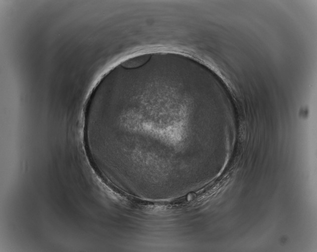 X0000100841508200806271100