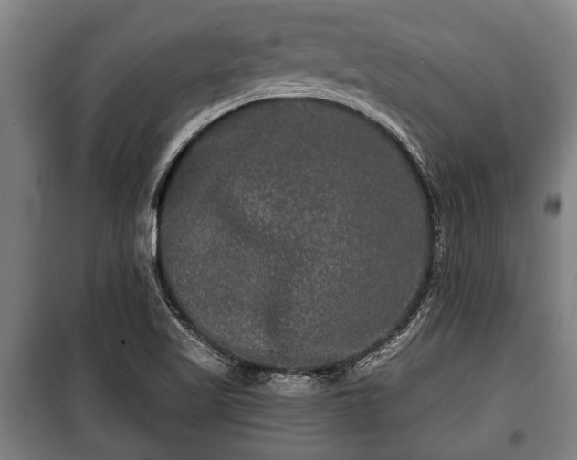 X0000100841509200806271100