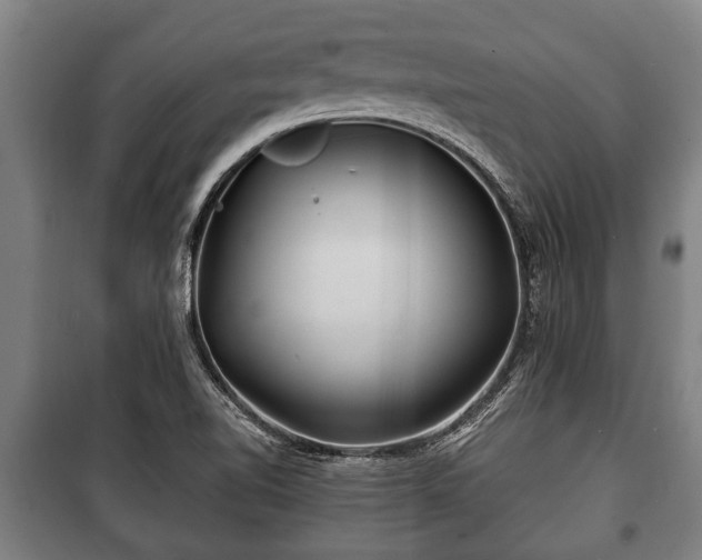 X0000100841510200806271100