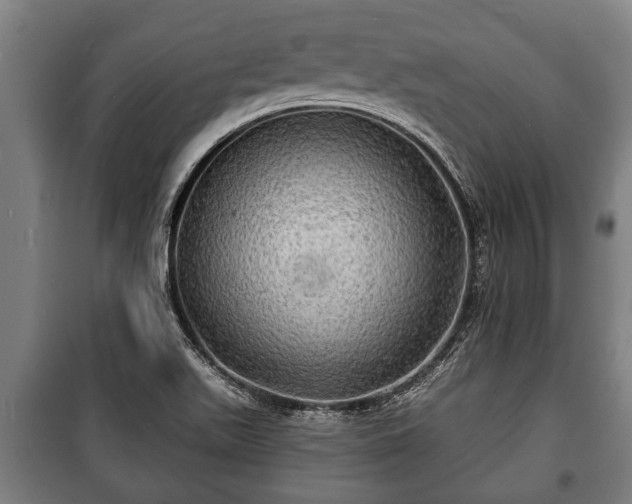 X0000100841511200806271100